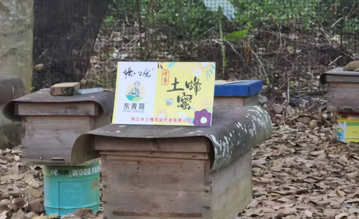 深入鄉村探蜜源，采訪調研促營銷