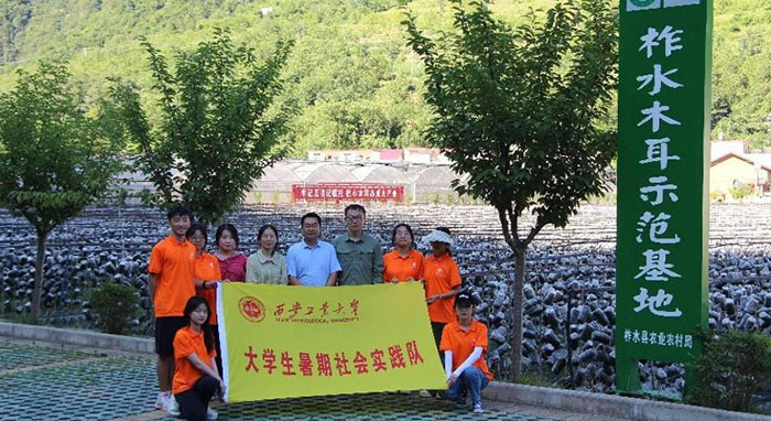 “厚植創新沃土，滋養科技之花” ——西安工業大學學生赴陜西省商洛市柞水縣金米村暑期社會實踐