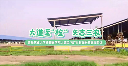 大道至簡(jiǎn)，三農(nóng)情牽：青島農(nóng)業(yè)大學(xué)動(dòng)物醫(yī)學(xué)院鄉(xiāng)村振興實(shí)踐服務(wù)團(tuán)走訪養(yǎng)殖天地