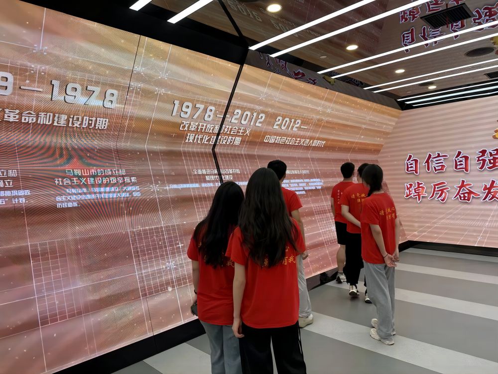 實踐正青春：立足專業顯擔當，砥礪實踐勇作為