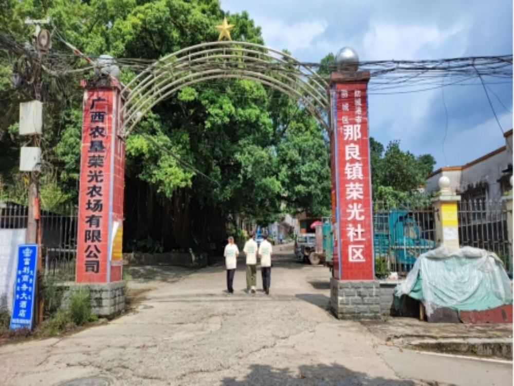 街巷間的民生課堂——桂工學(xué)子“三下鄉(xiāng)”活動(dòng)側(cè)記