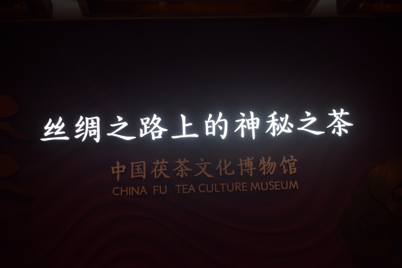 尋根茯茶古韻 助力鄉村新夢——陜工學子暑期三下鄉