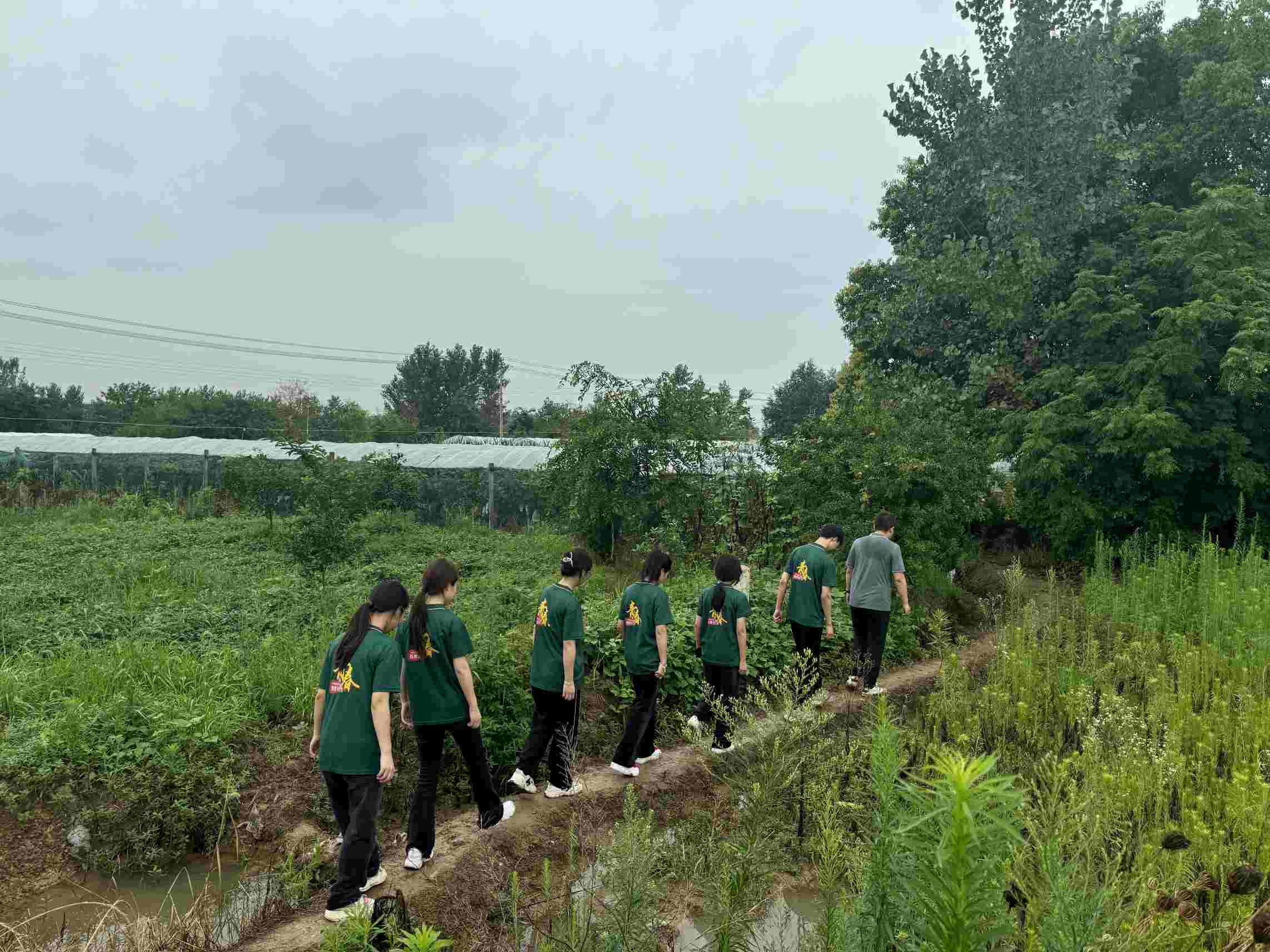 《巢湖學院：大棚薄膜改革調研推廣，助力鄉村農業發展》