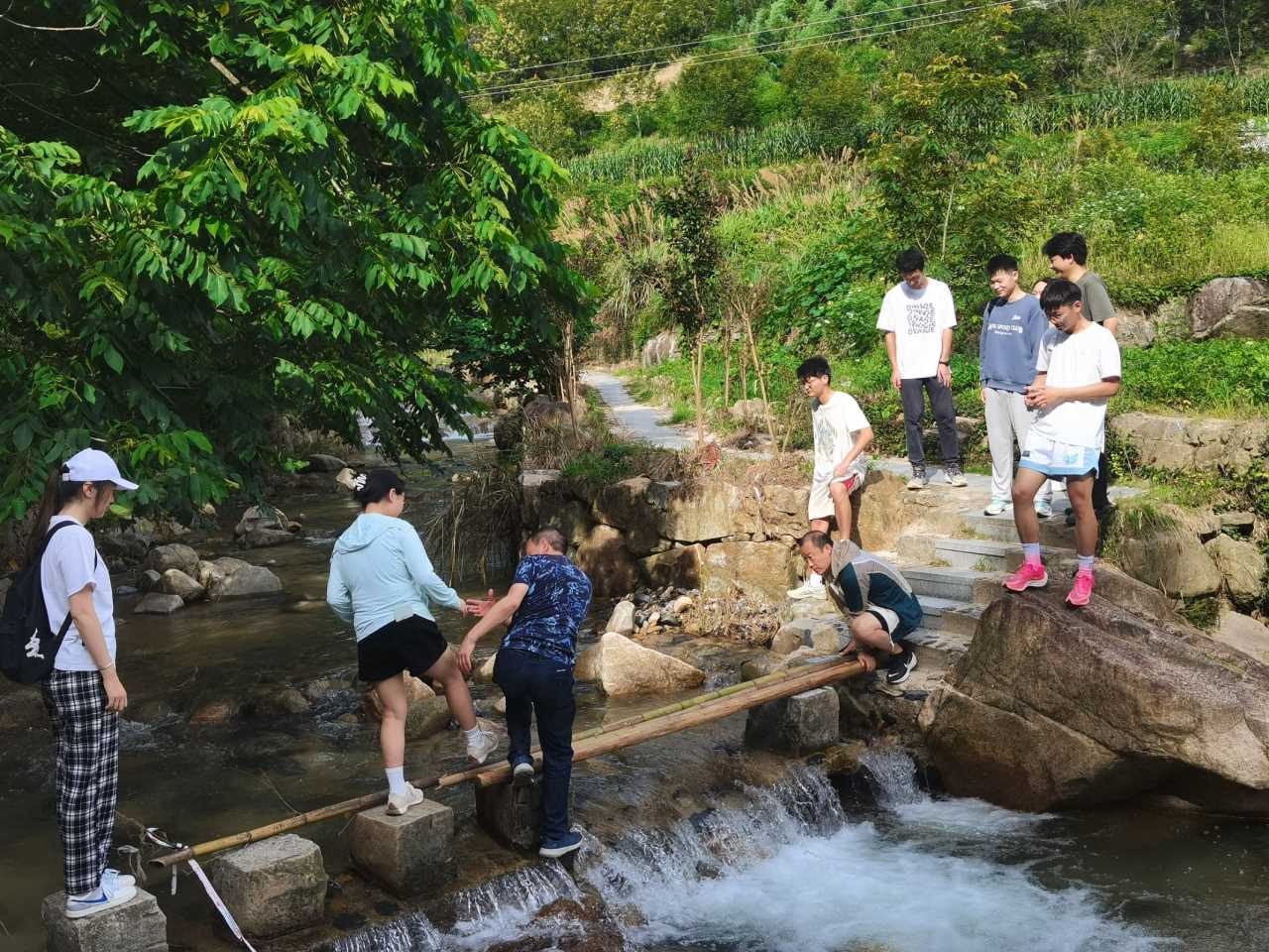 南財學子三下鄉：走進績溪核桃，助力產業騰飛
