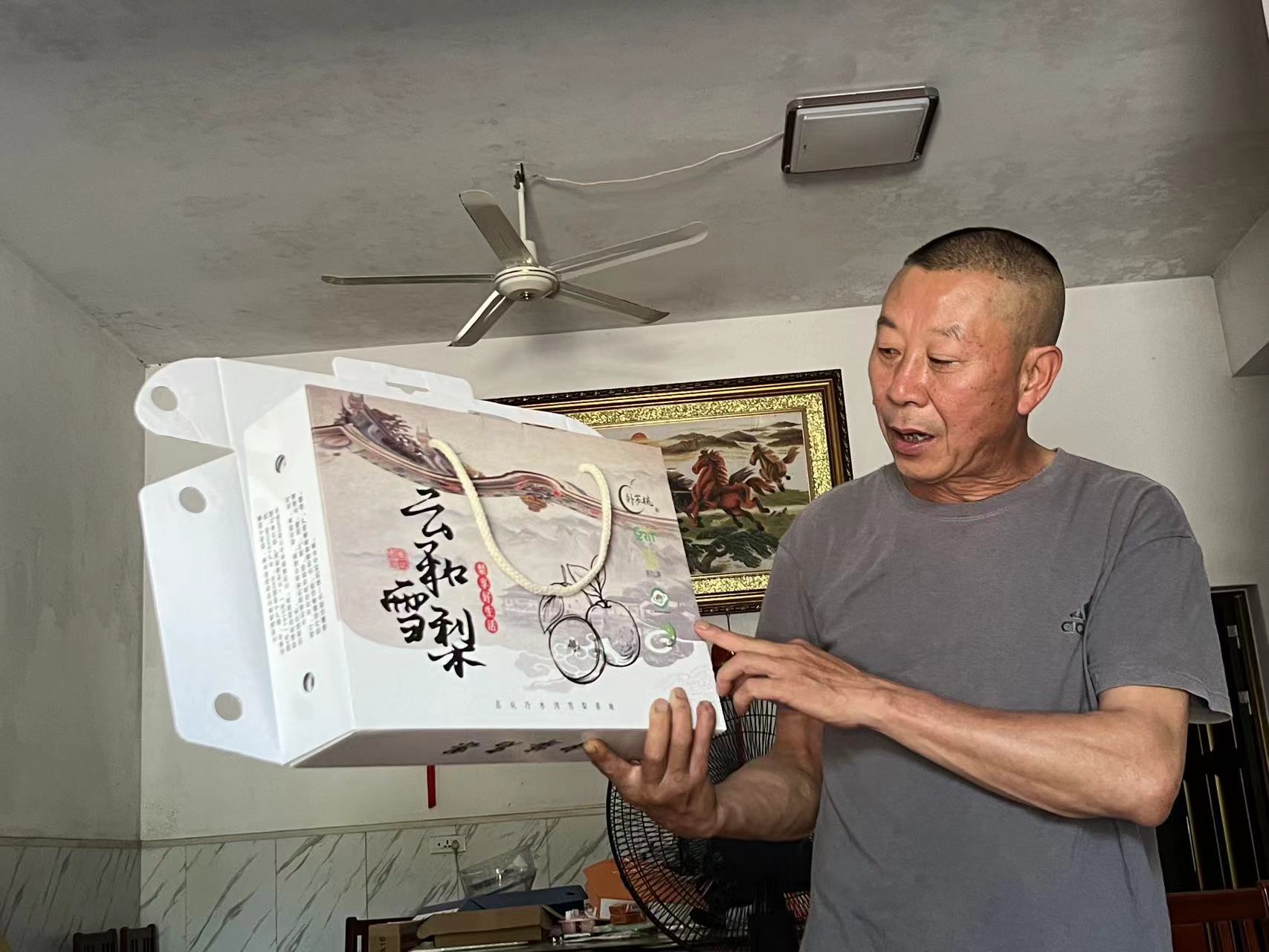 致富之梨——浙江經(jīng)濟(jì)職業(yè)技術(shù)學(xué)院摯馥芝麗團(tuán)隊暑期實(shí)踐活動照片