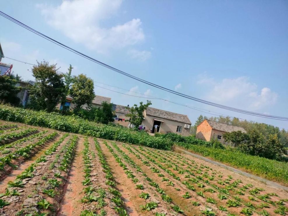 農耕青春，助力鄉村振興