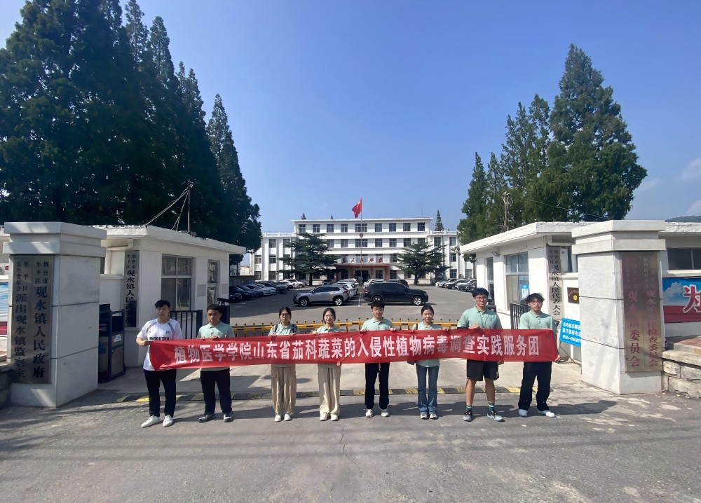 攜夢下鄉，共繪鄉村振興新篇章