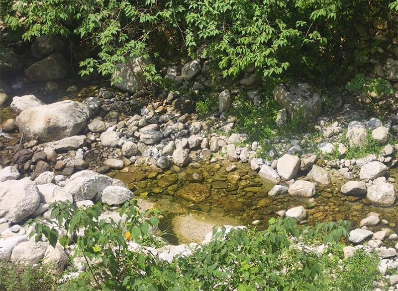 三下鄉|西安建筑科技大學：資源工程學院赴陜西省西安市秦嶺山脈及周邊生態保護調研團赴紫閣峪進行社會實踐