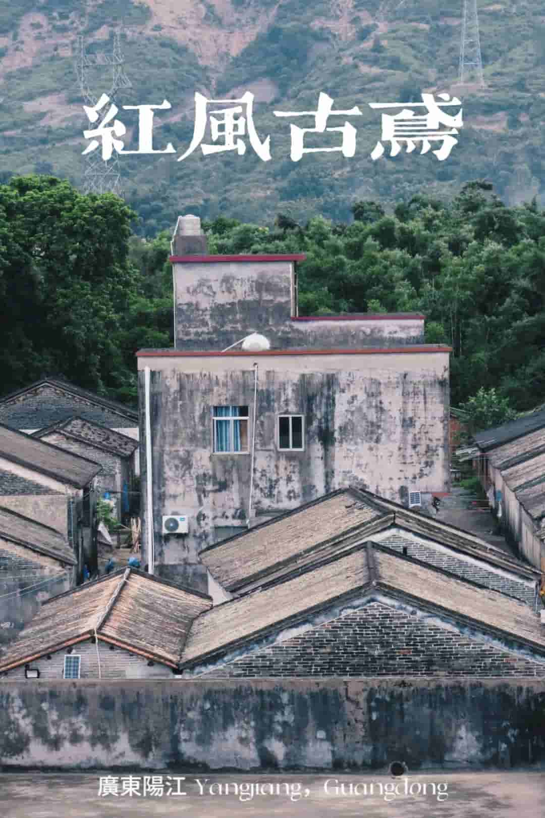 佛科院學子三下鄉：“紅風古鳶”實踐隊走訪鄉村衛生院，深入了解村民健康情況